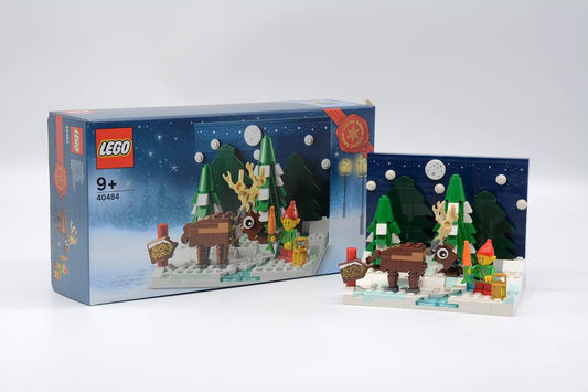 LEGO 40848 - Santa's Front Yard Exclusive set (317 pcs), Ages 9+